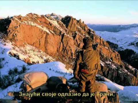 "Змея" (Змија)  - Владимир Мазур