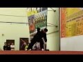 Master Chen Bing (1) - YouTube
