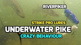 Strike pro x-buster - shallow