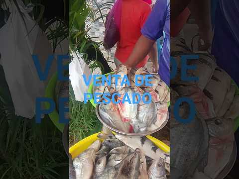 Promoviendo el emprendimiento de pequeños negocios en Picota, San Martin-Perú. #1ra