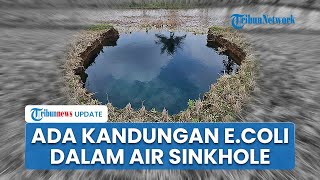 Air Sinkhole Lima Puluh Kota Mengandung Bakteri Cukup Tinggi, Wagub Sumbar: Tak Baik untuk Tubuh