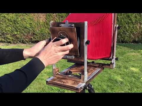 La chambre Woodyman 8x10