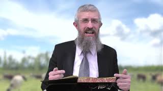 מסכת חולין דף ה - 8 דקות של לומדות ועמקות בדרך הלימוד הישיבתית [Hullin 5]