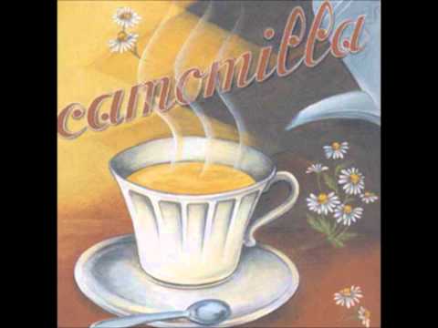 L'Officina della Camomilla - Brainstorm