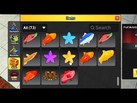 BLOX FRUITS INVENTORY SHOWCASE