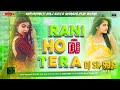 Rani Ho Tera Laya Main Lal Sharara Song Dj Remix Rani Ho Tera Laya Mein Haryanvi Song Remix 2024