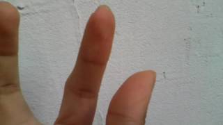 Ringo Starr - Scouse the Mouse (1977)