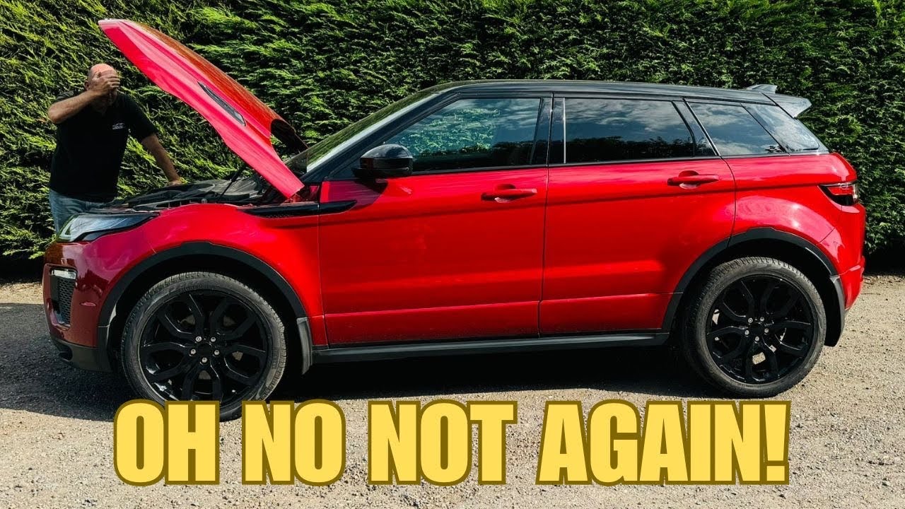 WE BOUGHT ANOTHER BROKEN LAND ROVER EVOQUE WITH A DEAD ENGINE