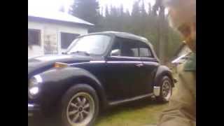 Love Bugs - 1979 VW Super Beetle Convertible