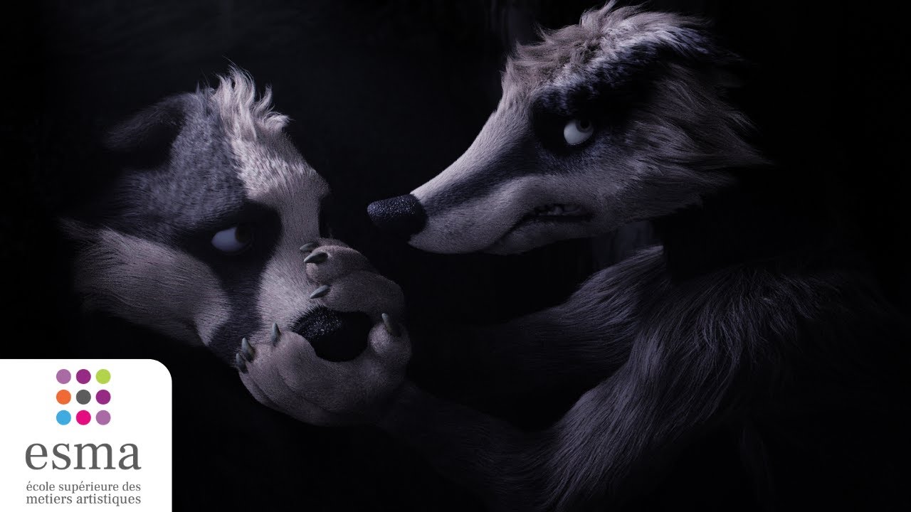 Image de couverture