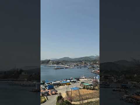 Northernmost Daejin Lighthouse and Daejin Port #DaejinPort #DaejinLighthouse #DaejinFood