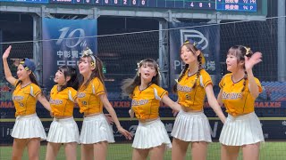 【Passion Sisters】#瑄#汶汶#維尼#小迪#芊芊#盈瑩#黃潮降臨#台湾チアリーディングチーム#中華職棒#CPBL#洲際#20241005
