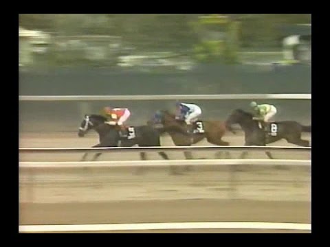 1987 Wood Memorial Stakes : ABC Broadcast