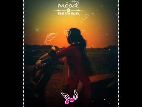 Status video (suchi videography)