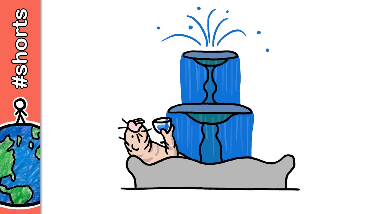 É possível viver pra sempre? #shorts