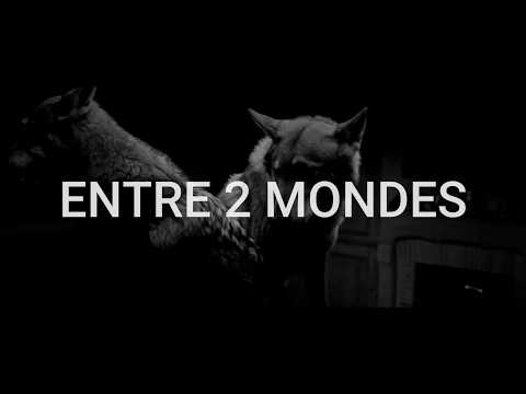 [FREE] PNL x DTF x MMZ Type Beat - Entre 2 Mondes 🌍 - Sad Cloud Rap (Prod. Symbioz)