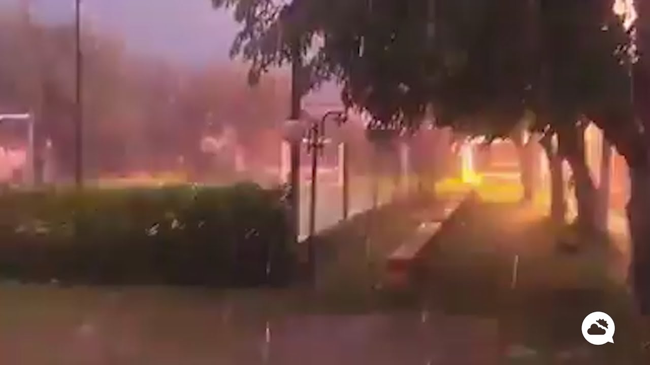 youtube video id=zgCZOWyXVxI