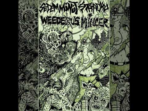 Weedeous Mincer - Split w/ Sedem Minut Strachu [2018]