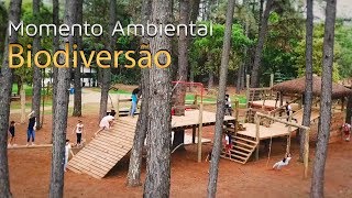 Miniatura do vídeo
