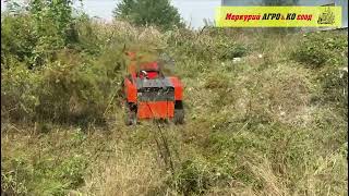 Tiger robot cortac&eacute;sped nuevo | Imagen 4 - Agroline