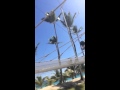 Noah Trapeze