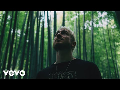 WALK THE MOON - Tiger Teeth (Official Video)