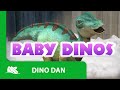 Dino Dan Best Of Dino Babies
