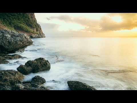 Gentle Healing Music to Calm the Nervous System. Stress Relief, Deep Relaxation & Meditation!