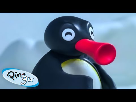Pingu the problem solver! π§ | Pingu β Official Channel | Cartoons For Kids - Kids (0-4), Kingdom Kids Zone - Pingu - Official Channel