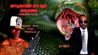 WAKA  FLOCKA FLAMES - Snakes In The Grass