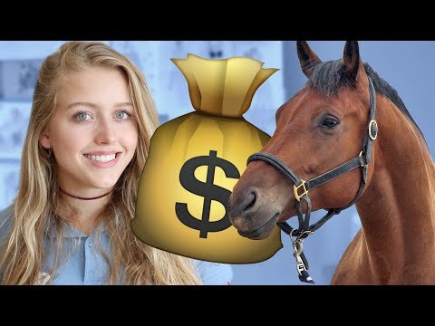 , title : 'Tips voor het kopen van een paard | + WINACTIE UITSLAG'