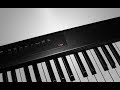 Artesia A-61 Digital Piano