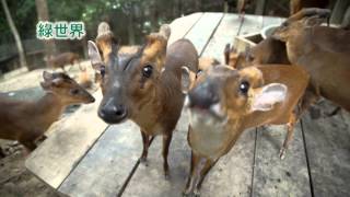 [問卦] 有人去過新竹北埔綠世界嗎？