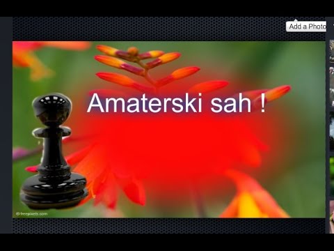 Amaterska partija :Šah  - SHONE SRBIJA # 1025