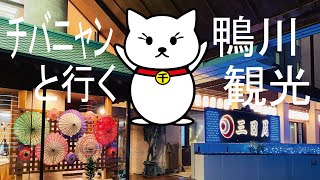 【千葉県鴨川観光】ホテル三日月鴨川の朝食・夕食バイキングから鴨川シーワールドまで。雨の日でも子供連れでも大丈夫な鴨川観光プランをご紹介。
