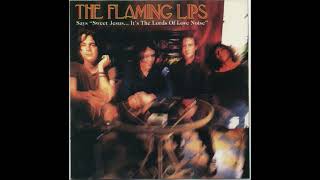 The Flaming Flaming Lips - Hit Me Like You Did The First Time (Live)