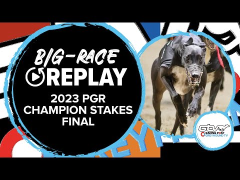 2023 PGR Champion Stakes - Hollow Man | Greyhound Replays | 2023 Big Finals