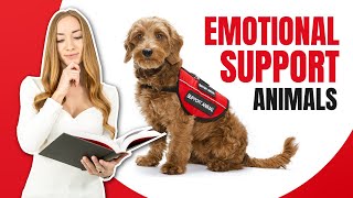 GET AN EMOTIONAL SUPPORT DOG! // Housing Protections, Training Requirements, and More!