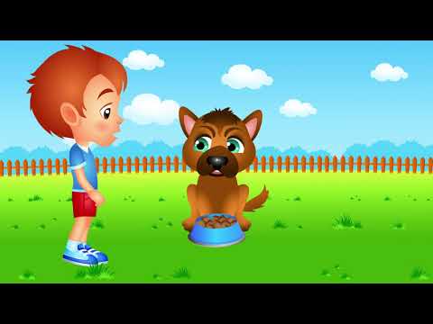 Zasady bezpieczeństwa podczas zabawy z psem - bajka edukacyjna dla dzieci