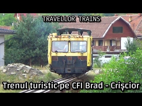 Trenul turistic, in trecere pe calea ferată îngustă Brad - Crișcior