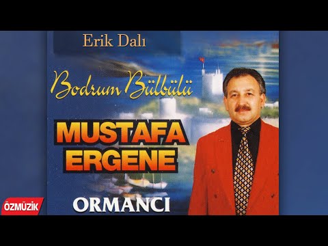 Mustafa Ergene - Erik Dalı