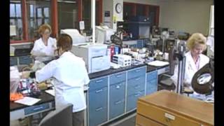 How To Become A Quality Control Inspector