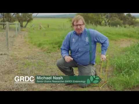 GCTV17: Snails - quadrat sub-sampling