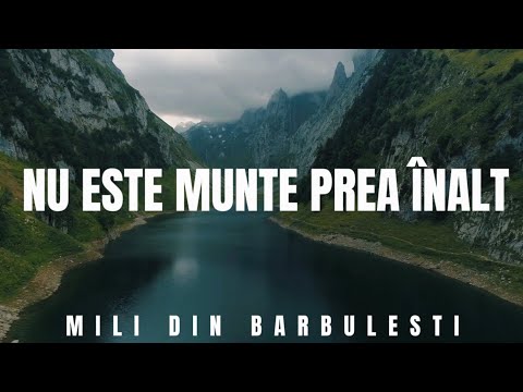 Mili din Barbulesti - NU ESTE MUNTE PREA - NALT