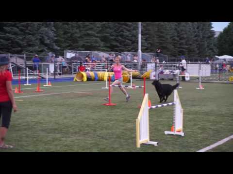 Jumping1-national agility championship-Sandrine obry-Gendo
