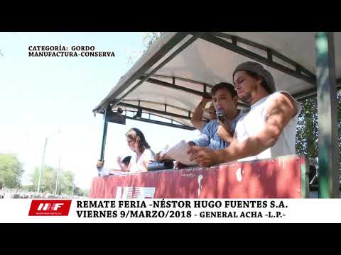 REMATE FERIA: N.H.F. S.A. - GRAL. ACHA -VIE-9 MARZO -CATEGORÍA: GORDO -
