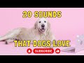 20 Sounds that Dogs Love
