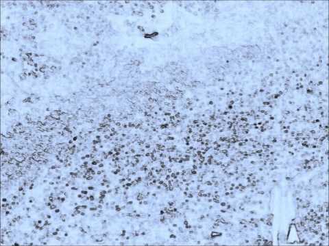 Dodson and Fogg - We Are Going Home