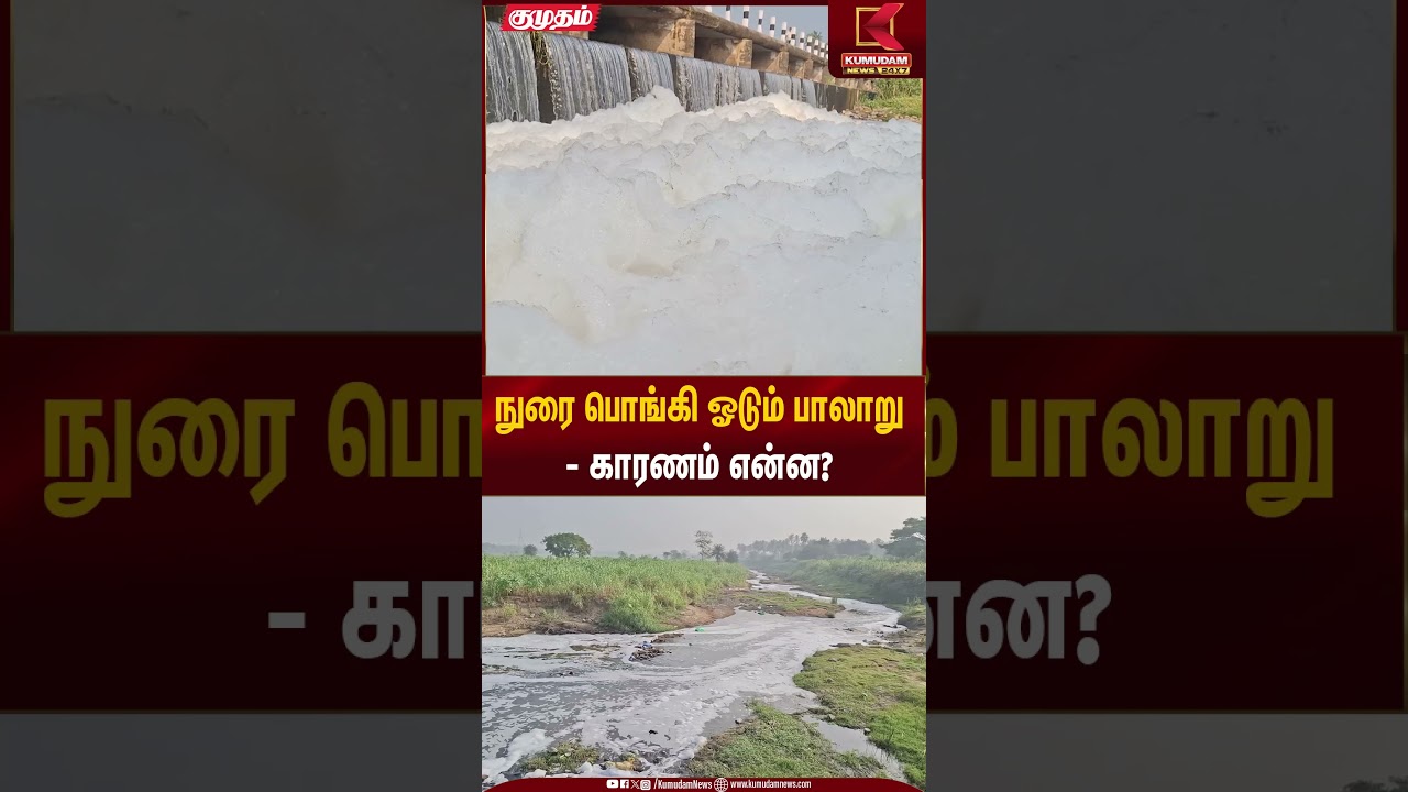 நுரை பொங்கி ஓடும் பாலாறு – காரணம் என்ன? | Foaming River Water | Kumudam News