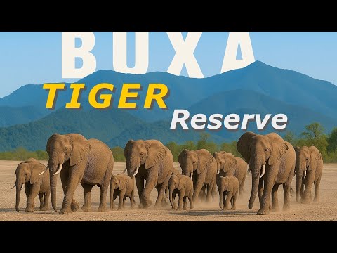 Buxa Tiger Reserve | Dooars | Buxa Jayanti Jungle Safari | wildlife | offbeat Dooars | 